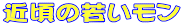 ߍ̎Ⴂ